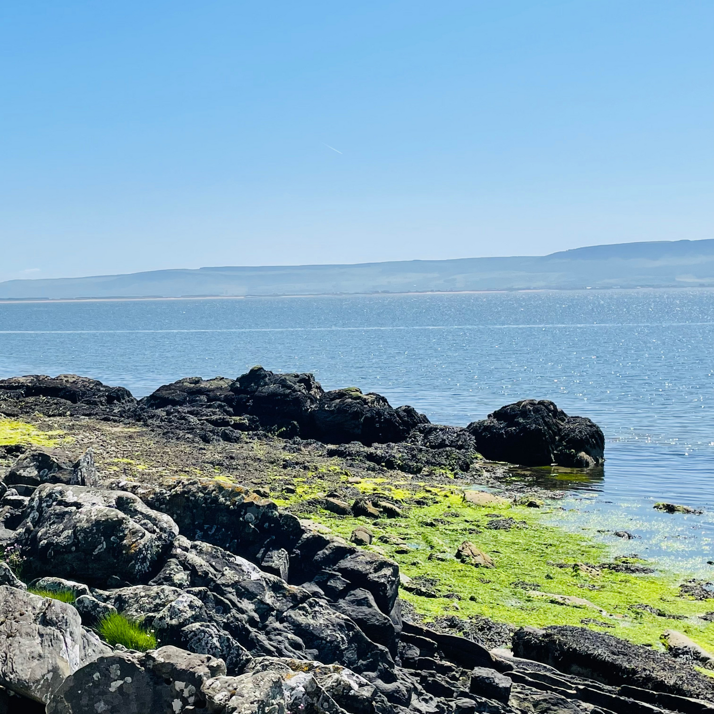 Rockpool | Donegal Tweed Lambswool Scarf |