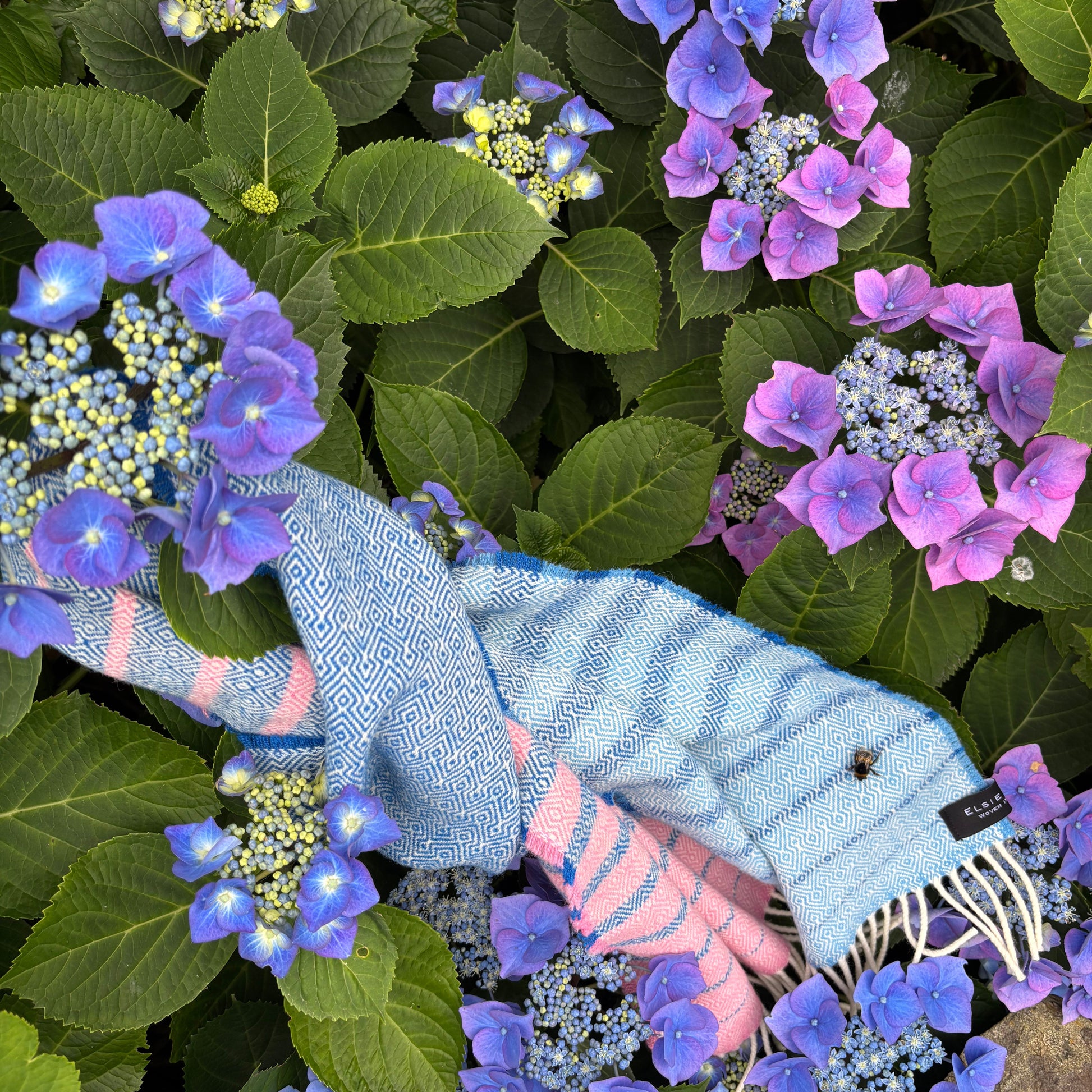 A folded knit scarf in light blue and pink stripes with white fringe, placed on green hydrangea leaves and purple-blue flowers.